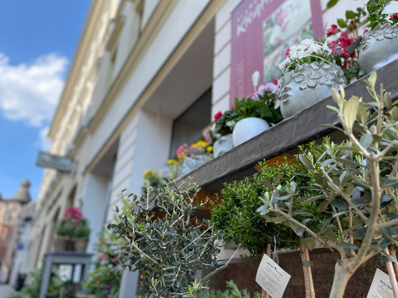 aussenansicht-laden-kreativ-blumen-sommer-freilandpflanzen