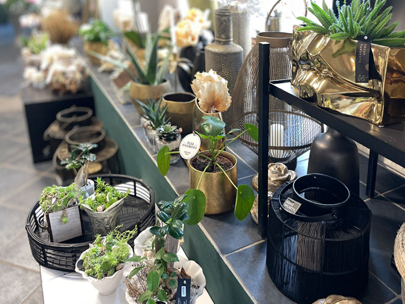 pflanzen-gefaesse-vblumen-blüten-kreativ-blumen-sylvia-eichelkraut